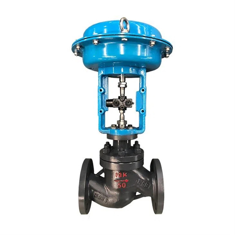 Pneumatic control valve single seat
